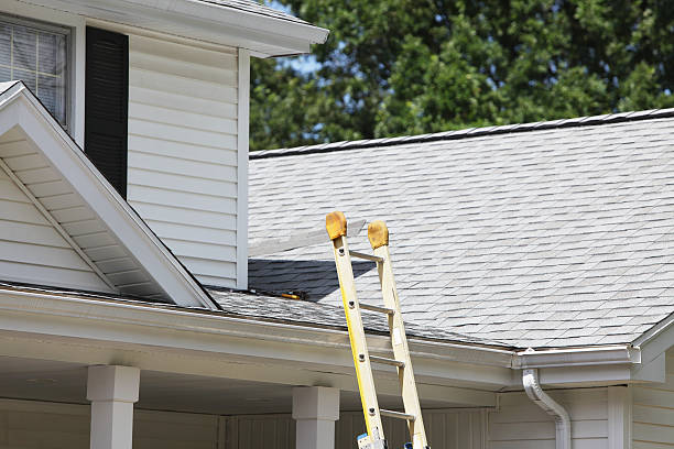 Best Stone Veneer Siding  in Stockton, MO